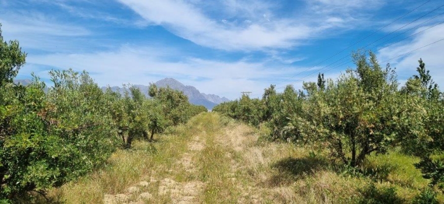 3 Bedroom Property for Sale in Tulbagh Western Cape